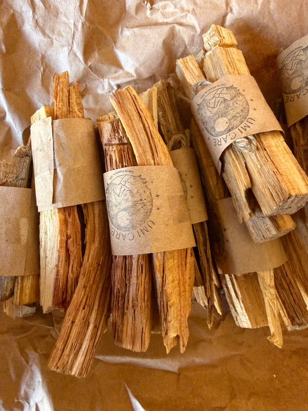 Ocote Piñon Sticks