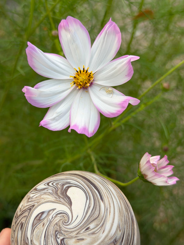 Caldera Ceramic Salve Jars