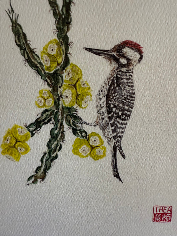 Cholla and Woodpecker Card