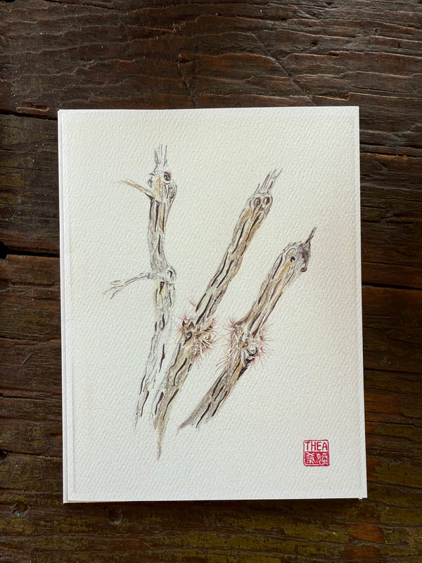 Cholla Skeleton Card