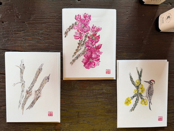Cholla card set