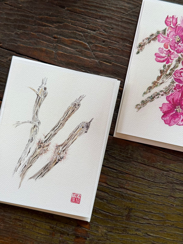 Cholla Skeleton Card