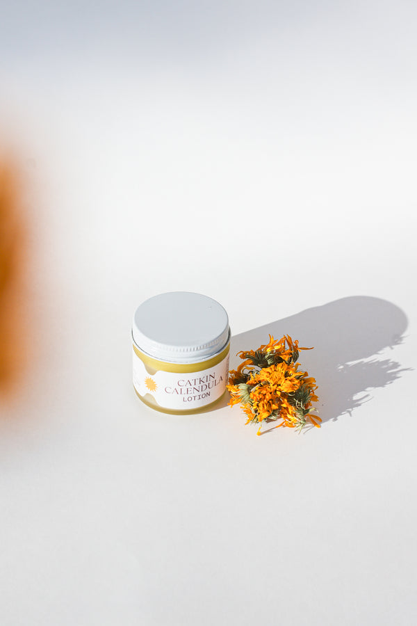Catkin Calendula Lotion