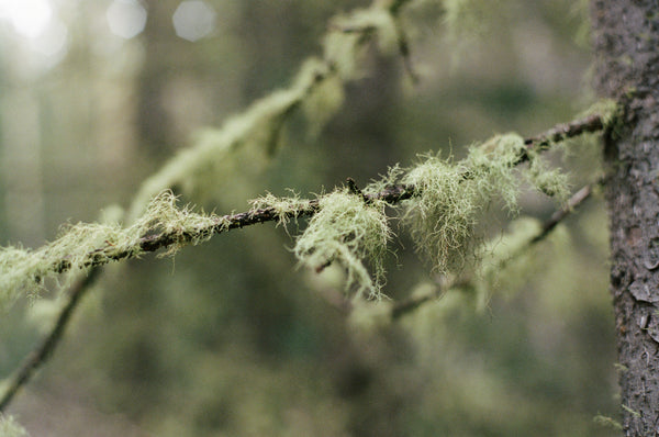 High Desert Bath Salts