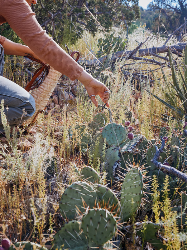 Prickly Pear Cactus Lotion