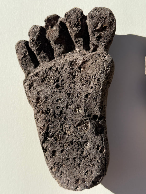 Foot Pumice Stone