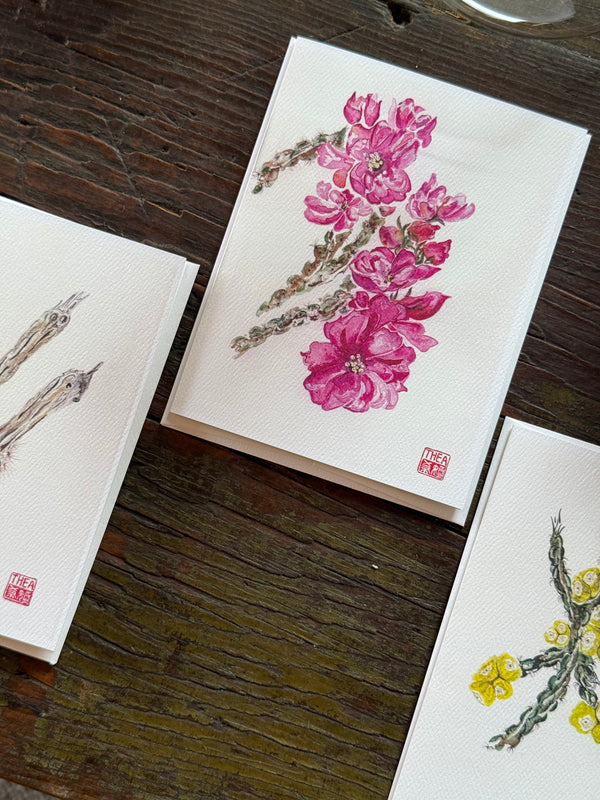 Cholla card set