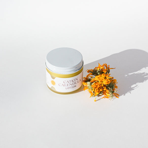 Herbal First Aid Bundle