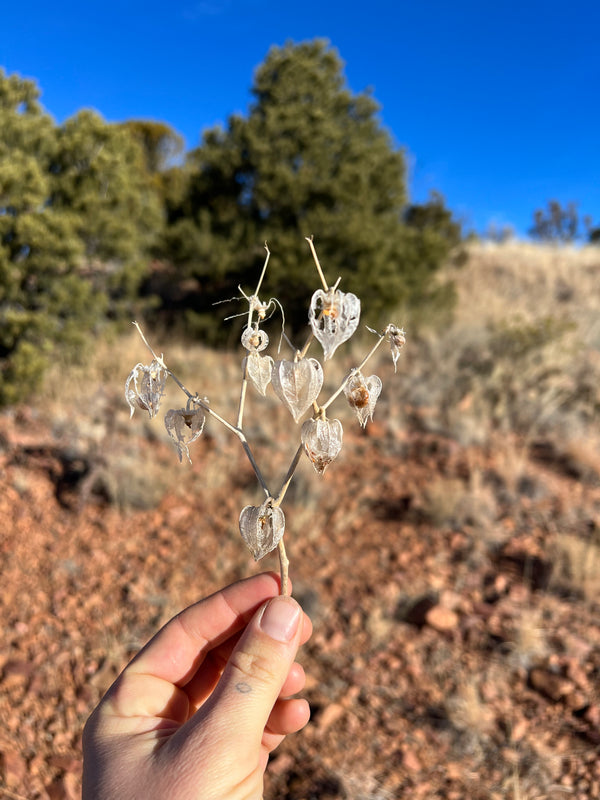 Guide To Santa Fe